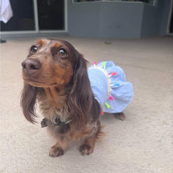 Meet your Posher, Ashley - Picture 5 of 15